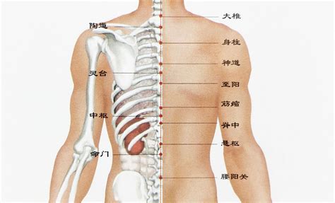 脊椎上有痣|后背长痣怎么回事 人背痣穷一生是指哪里